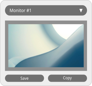 Monitor Selector